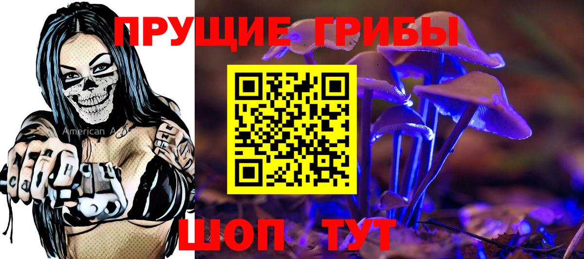 Галлюциногенные грибы Psilocybe  Псилоцибиновые грибы Psilocybe  Нижний Новгород  Вход с VPN 